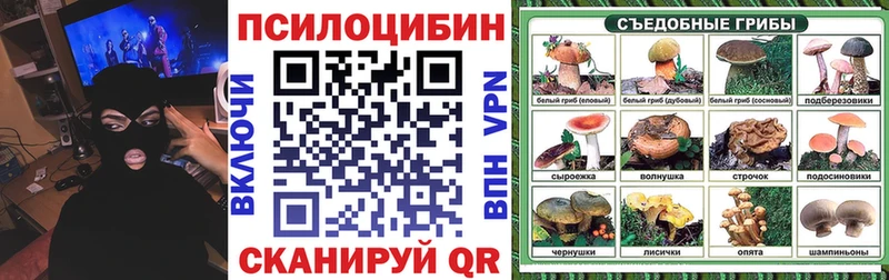 Псилоцибиновые грибы Psilocybe  Белоозёрский 